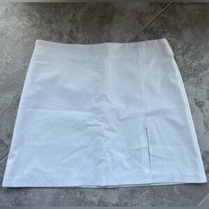 Aritzia Mini Skirt